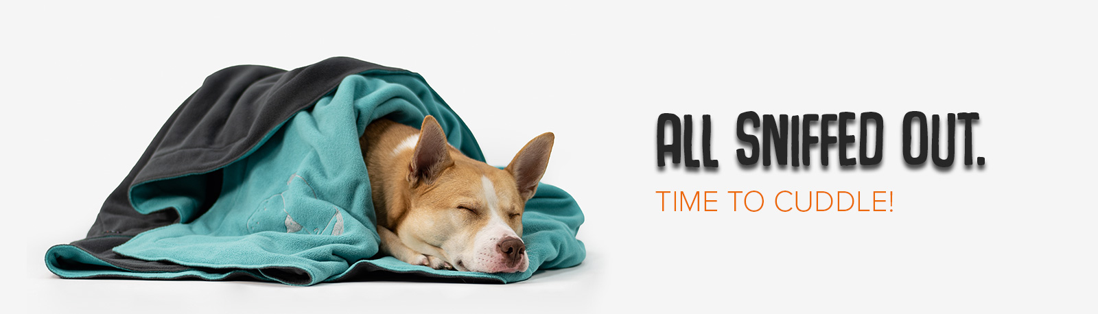Hund schläft gemütlich in einer Knauder's Best Kuscheldecke