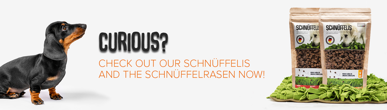 Hund schnüffelt am Schnüffelrasen mit Schnüffelis befüllt.