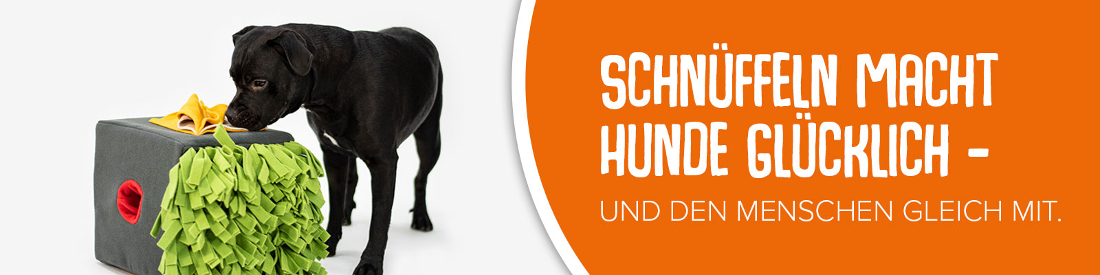 Hund schnüffelt an einer Sniffbox