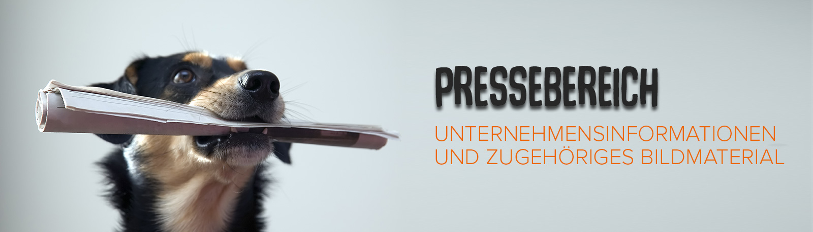 KNAUDER'S BEST Presse