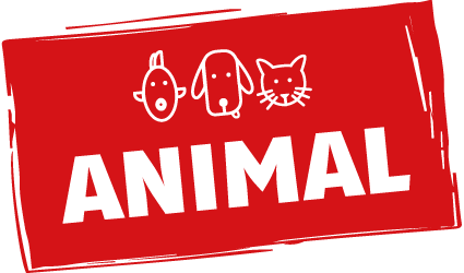 Animal Stuttgart
