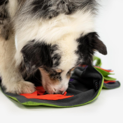 Sniffpad Happy