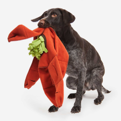 Sniffstar