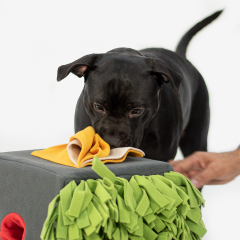 Sniffbox