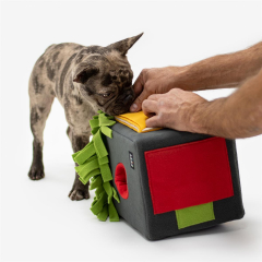 Sniffbox Mini - Explore hiding places in varying positions