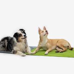 Easy Travel Pad - Reisebegleiter für aktiven Lifestyle
