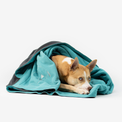 Kuscheldecke - Deine neue Lieblingsdecke