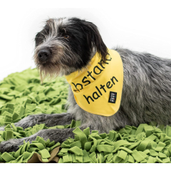 Bandana "Abstand halten" - Great visibility from afar