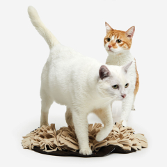 SCHNÜFFELRASEN® für die Katze - DAS ORIGINAL